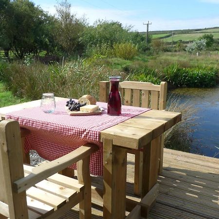 فندق Shepherds Hut On Cornish Smallholding بينزانس المظهر الخارجي الصورة