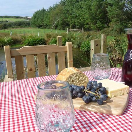 فندق Shepherds Hut On Cornish Smallholding بينزانس المظهر الخارجي الصورة