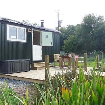 فندق Shepherds Hut On Cornish Smallholding بينزانس المظهر الخارجي الصورة