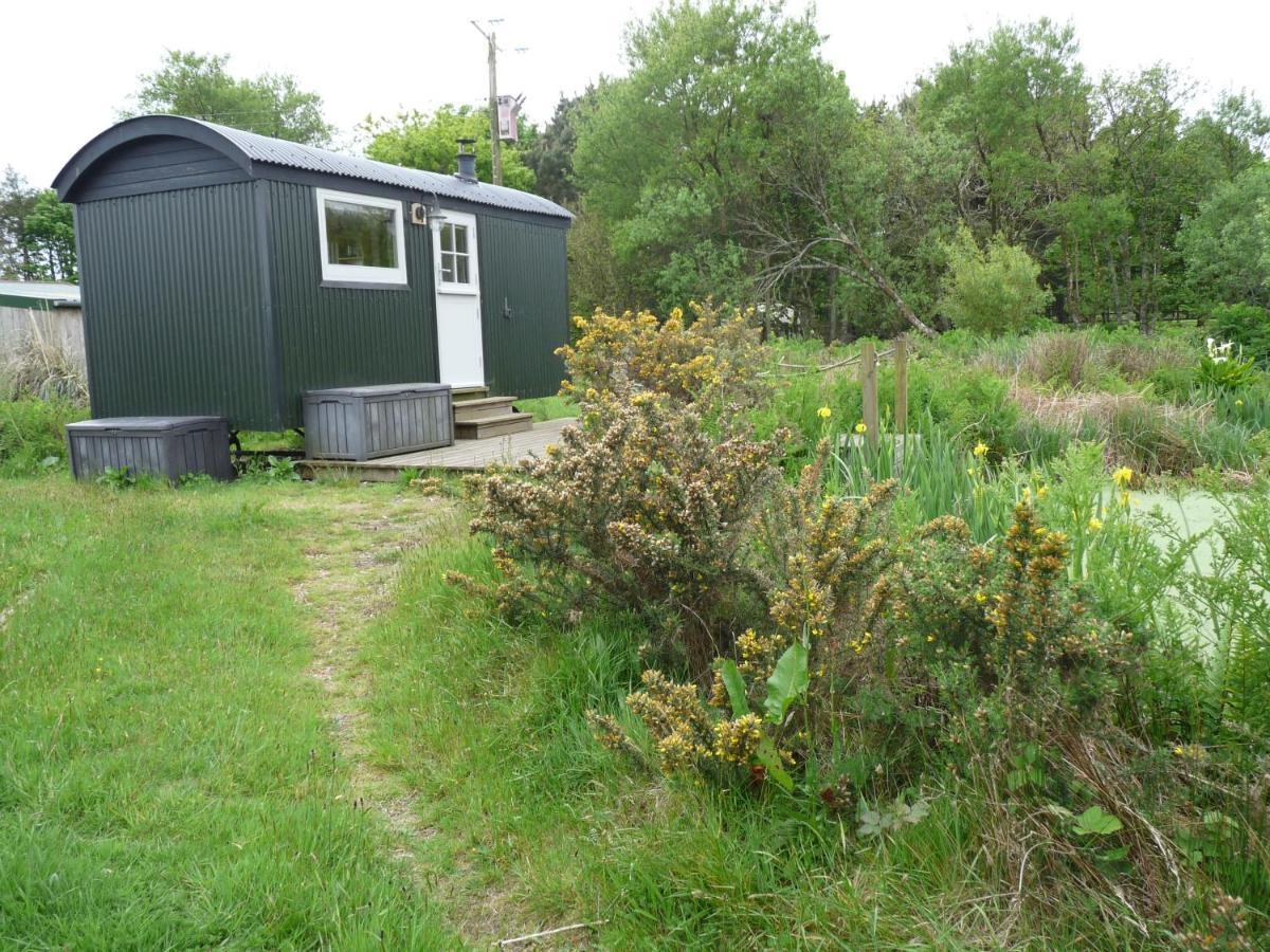 فندق Shepherds Hut On Cornish Smallholding بينزانس المظهر الخارجي الصورة