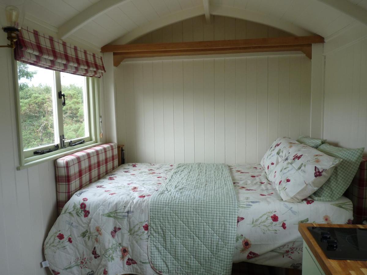 فندق Shepherds Hut On Cornish Smallholding بينزانس المظهر الخارجي الصورة