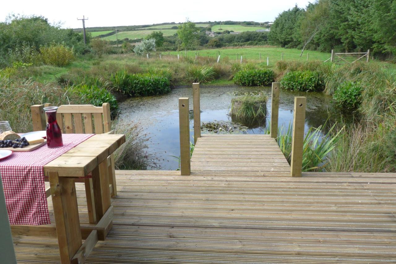 فندق Shepherds Hut On Cornish Smallholding بينزانس المظهر الخارجي الصورة