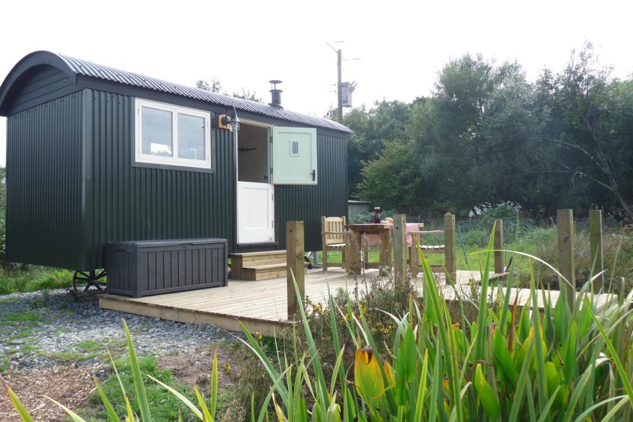 فندق Shepherds Hut On Cornish Smallholding بينزانس المظهر الخارجي الصورة