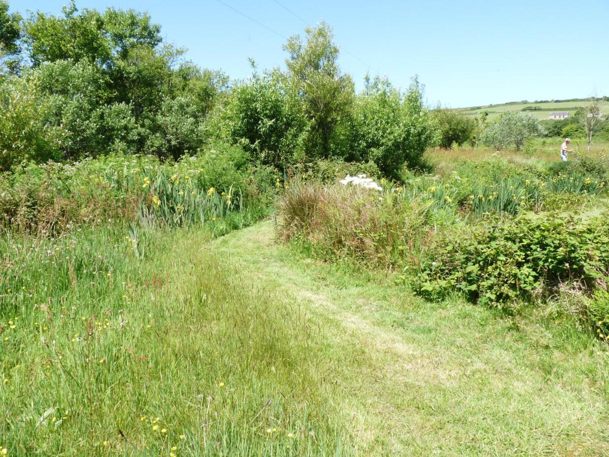 فندق Shepherds Hut On Cornish Smallholding بينزانس المظهر الخارجي الصورة