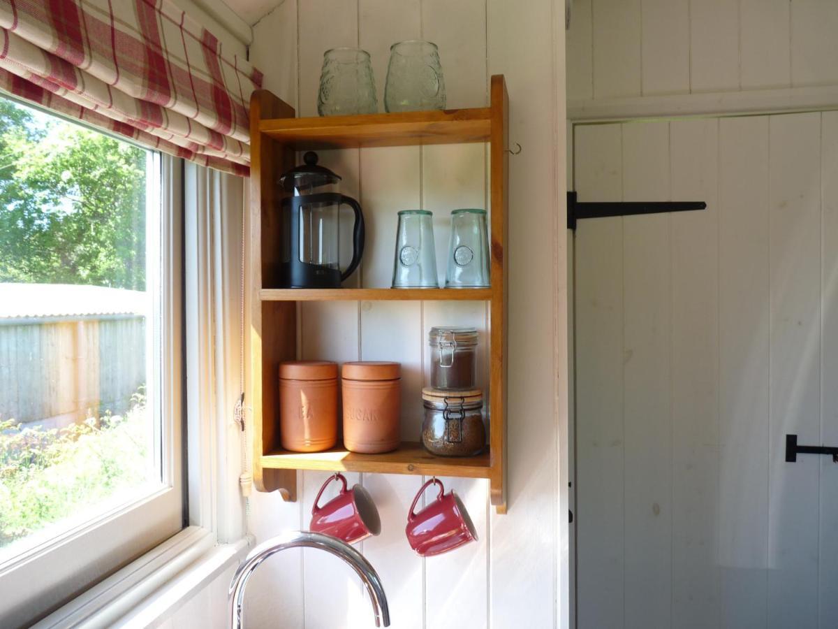 فندق Shepherds Hut On Cornish Smallholding بينزانس المظهر الخارجي الصورة